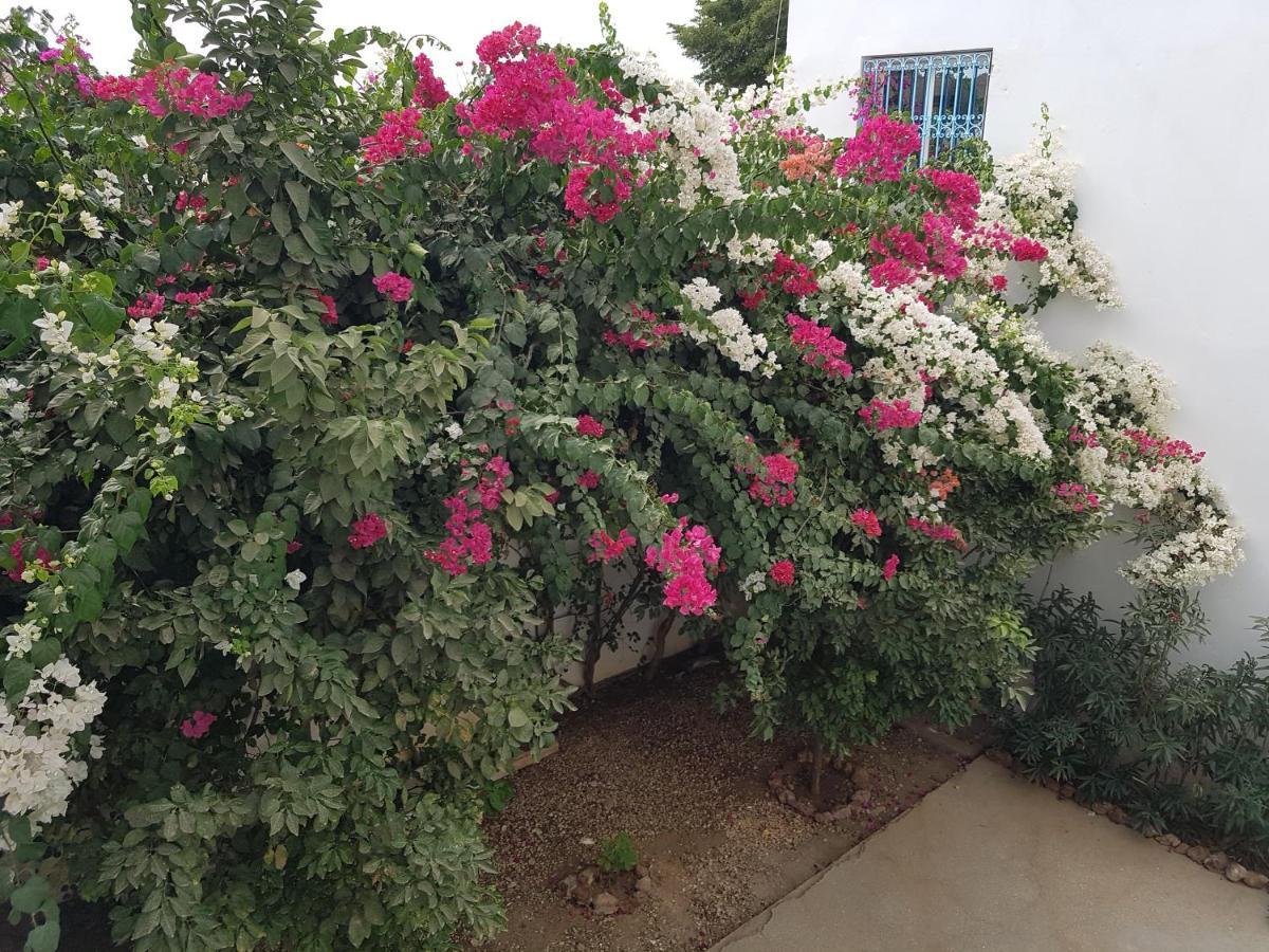 Apartamento Le Dolmen de Mbour M'Bour Exterior foto